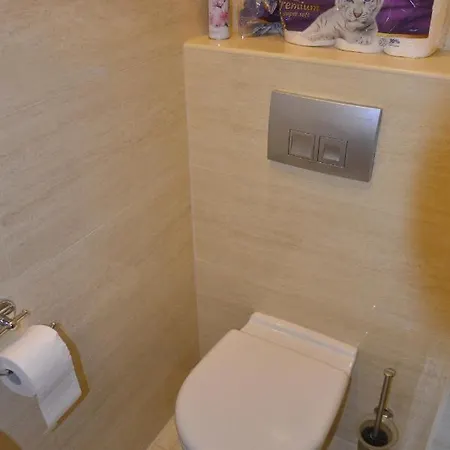 Apartament Paderewskiego *
